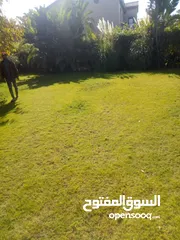  5 فيلا استاند الوان في مراسي اريزو مع إطلالة على البحيرة وحمام السباحة