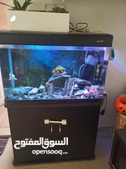  2 20 kd Fish Tank call whatapp