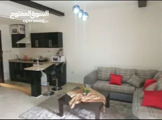  1 استديو  مفروشه للايجار اليومي