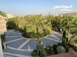  6 ‎اراضي للبيع منطقة السرو مقابل جامعة عمان الاهليه