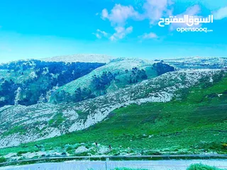  5 ارض طابو للبيع