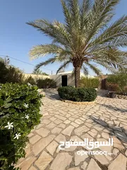  6 مزرعة وشاليه القريه