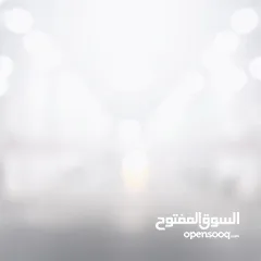  21 مكافحة حشرات