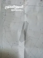  1 ارض للبيع عين جنا عجلون