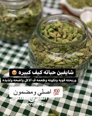  10 بيع الهال ومشتقاته