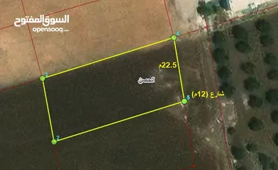  1 ارض 1061متر في الحصن ضمن حوض المراح وام الغزلان بالقرب من مدرسة رابعة تنظيم سكن ب