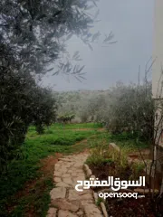  9 منزل على قطعة أرض 2 دونوم ، لمعرفة السعر الرجاء التواصل على الرقم في الوصف