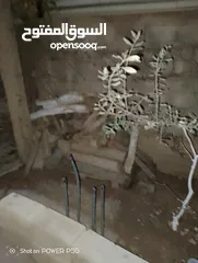  2 تشكيلة حطب للبيع