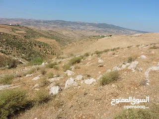  12 أجمل اطلالات جلعد-قوشان مستقل