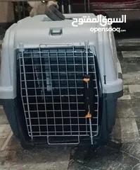  4 للبيع  بوكسات للقطط  او للكلاب صغيرة الحجم