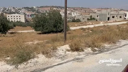  9 ارض في شفا بدران مساحتها 808 مقابل  مدارس البنفسج شارع سهيل بن قيس