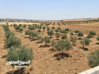  16 ارض مميزه للبيع
