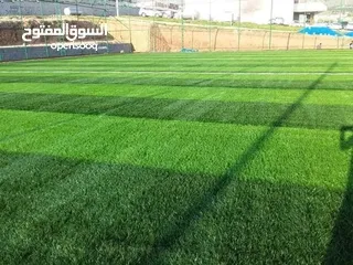  21 عشب ملاعب خاص بالملاعب