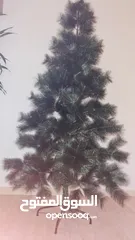  2 Christmas tree