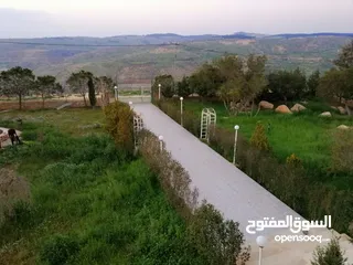  21 مزرعة مميزة ناعور المشقر