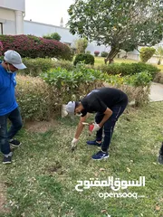  28 شركه الاستبشار الحديثة