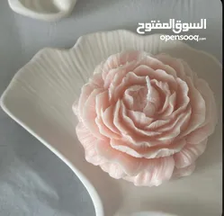  25 تحف بوهيمو وكونكريت ذات جودة عاليه