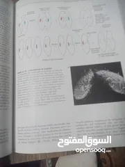  4 كتاب بعنوان biology