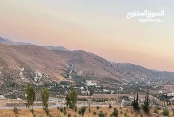  1 ارض 3400م2 للبيع في صروت حوض المرح الأصفر إطلالة مميزة حولها مزارع