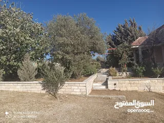  7 قطعه ارض مميزه  للاستثمار بسعر مغري مع منزل في اربد للبيع