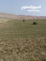  3 برسيم حجازي