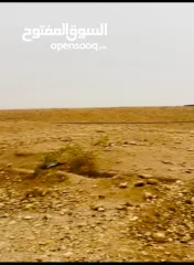  2 ارض مساحة 1600 متر مربع للبيع تصنيف أ في بلدة العوجا الهادئة الجميلة