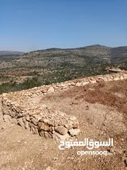  21 عمارة اراضي وبناء السناسل