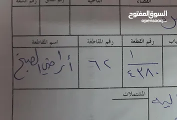  1 قطعة ارض في الصبخ بالقرب من مجمع النرجس