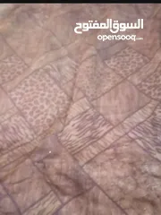  12 موكيت وسجاد وممرات