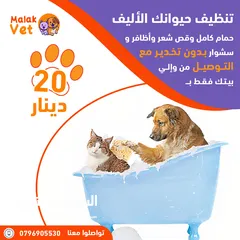  9 خدمات بيطرية متكاملة للحيوانات الاليفة