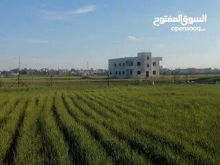  3 أرض قرب شارع المطار الجيزة حوض الحجرة من المالك
