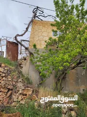  8 ارض للبيع بيت فجار منطقه الدلبه