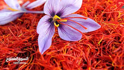  2 زعفران ایرانی نغین ۴/۶ غرام Premium Negin Saffron