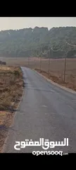  3 ارض للبيع في طوباس طابو سلطه المساحه  200دونم تصنيف الف