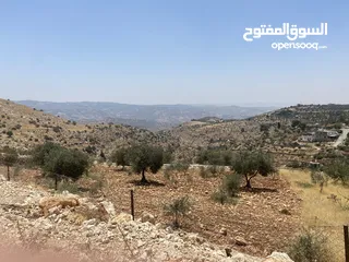  2 دونم سكن أ للبيع في بطنا حوض المزود