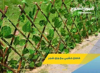  13 رول ورق شجر اخضر كثيف3 متر ب متر  للمداخل والبرندات واالحيطان