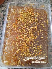  9 عسل حر جبلي شوكيات