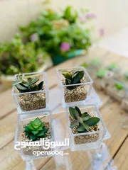  14 توزيعات هدايا