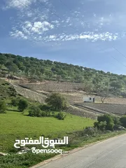  3 ارض مميزة واستثمارية بيرين صروت 3 دنم ونصف للبيع