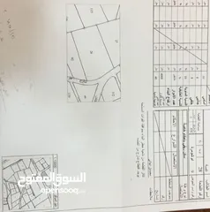  5 ارض للبيع دابوق أراضي شمال عمان ام شومره