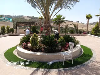  5 مزرعة للبيع في شمال عمان تل الرمان