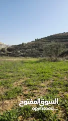  1 قطعة نص دونم دورا