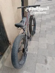  4 بسكليت جبلي