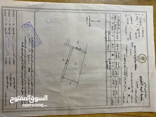  1 ارض للبيع بسعر مغري