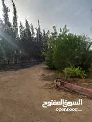  2 قرية للبيع بجمعية احمد عرابي