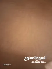  1 موكيت شبة جديد 3 في 4