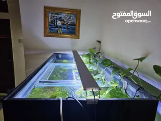  3 Aquarium with complete set