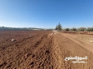  15 مادبا ماعين ارض زراعية مميزة عليها مزرعة زيتون جاهزة واصل جميع الخدمات مساحتها 4500 م