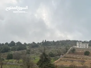  8 ارض للبيع في الأردن - عجلون