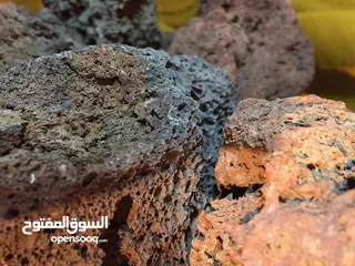  3 فحم حجري شاركول
